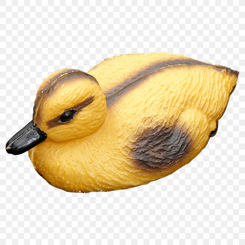 Duck Beak Animal, PNG, 1414x1414px, Duck, Animal, Beak, Bird, Ducks Geese And Swans Download Free