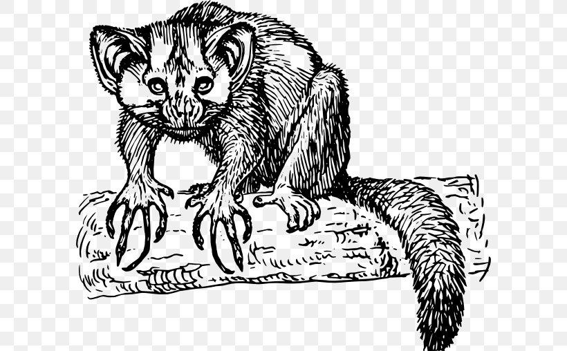 Lemurs Primate Aye-aye Ape Clip Art, PNG, 600x508px, Lemurs, Animal, Ape, Art, Artwork Download Free