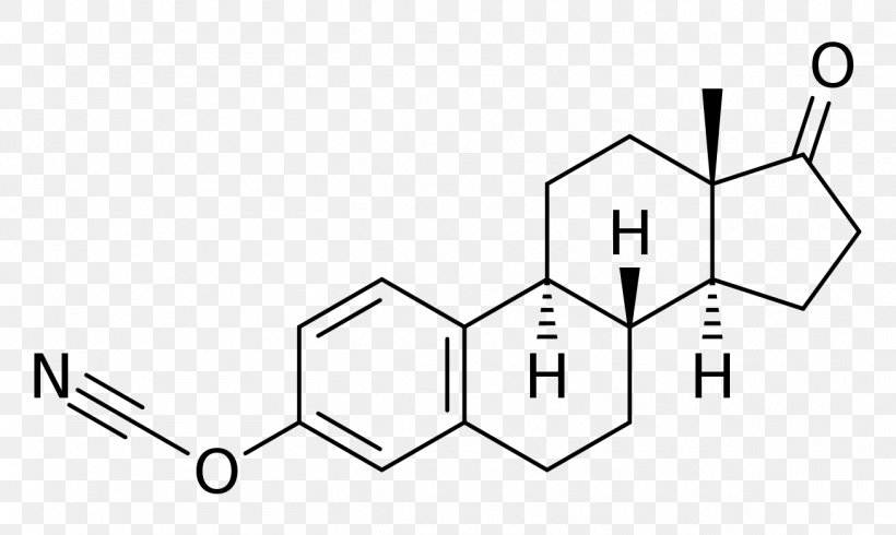 The Great Testosterone Myth Estradiol Estrogen Metandienone Estrone, PNG, 1305x780px, Estradiol, Area, Black And White, Brand, Cortisone Download Free