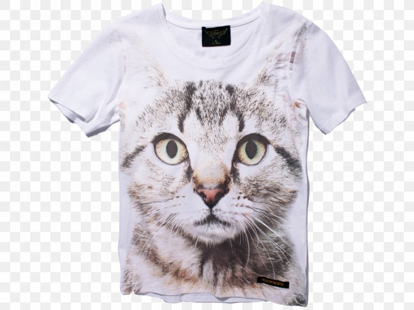 Whiskers Kitten Tabby Cat T-shirt, PNG, 960x720px, Whiskers, Animal, Canvas Print, Carnivoran, Cat Download Free