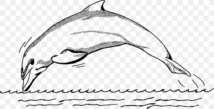 Common Bottlenose Dolphin Spinner Dolphin Black And White Clip Art, PNG, 1331x677px, Common Bottlenose Dolphin, Artwork, Beak, Bird, Black And White Download Free