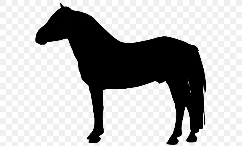 Horse Silhouette Clip Art, PNG, 607x494px, Horse, Art, Black And White, Bridle, Colt Download Free