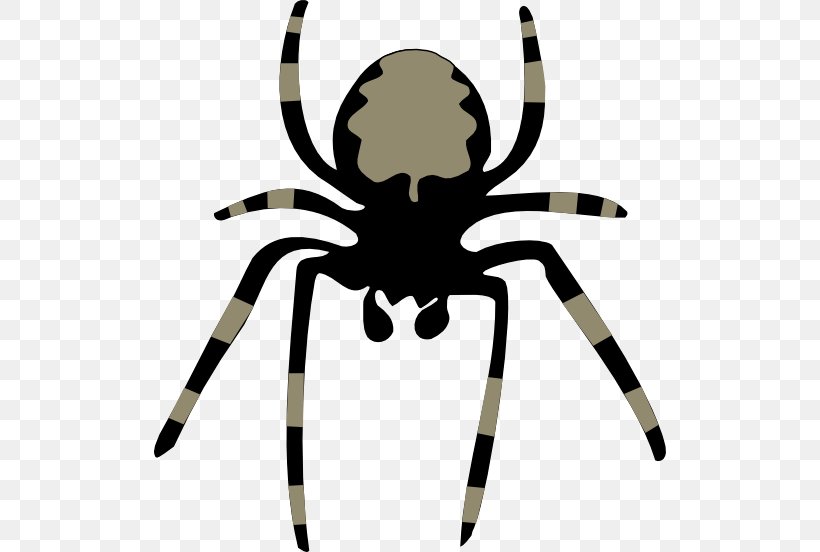 Spider Web Huntsman Spider Clip Art, PNG, 512x552px, Spider, Arachnid, Arthropod, Artwork, Blog Download Free