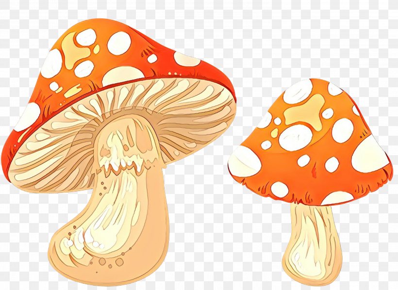 Clip Art Mushroom Transparency Vector Graphics, PNG, 2999x2189px, Mushroom, Agaric, Common Mushroom, Drawing, Edible Mushroom Download Free