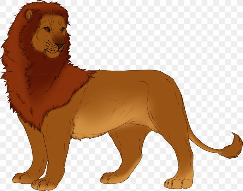 Lion Felidae Cat Cheetah Cougar, PNG, 900x709px, Lion, Animal, Asiatic Lion, Big Cats, Carnivoran Download Free