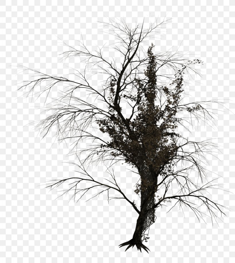 Tree Photography DeviantArt Clip Art, PNG, 1024x1150px, Tree, Art, Black And White, Branch, Deviantart Download Free