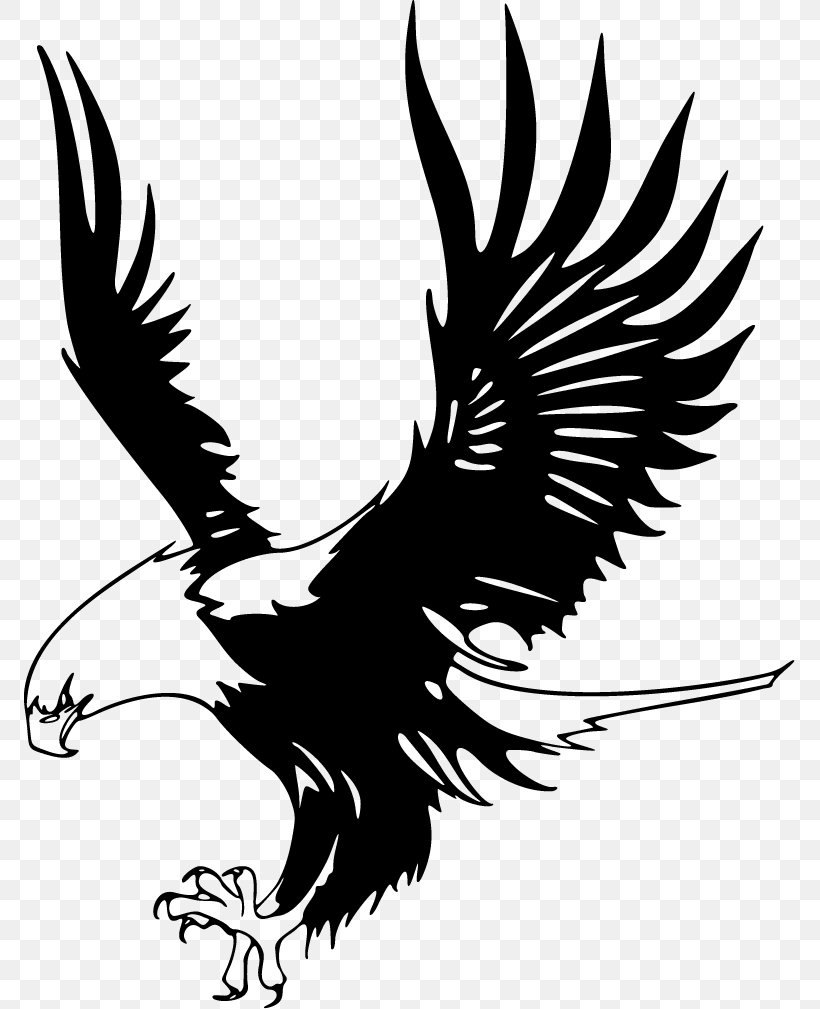 Bald Eagle Just Eagles Black-and-white Hawk-eagle Clip Art, PNG, 771x1009px, Bald Eagle, Beak, Bird, Bird Of Prey, Black And White Download Free