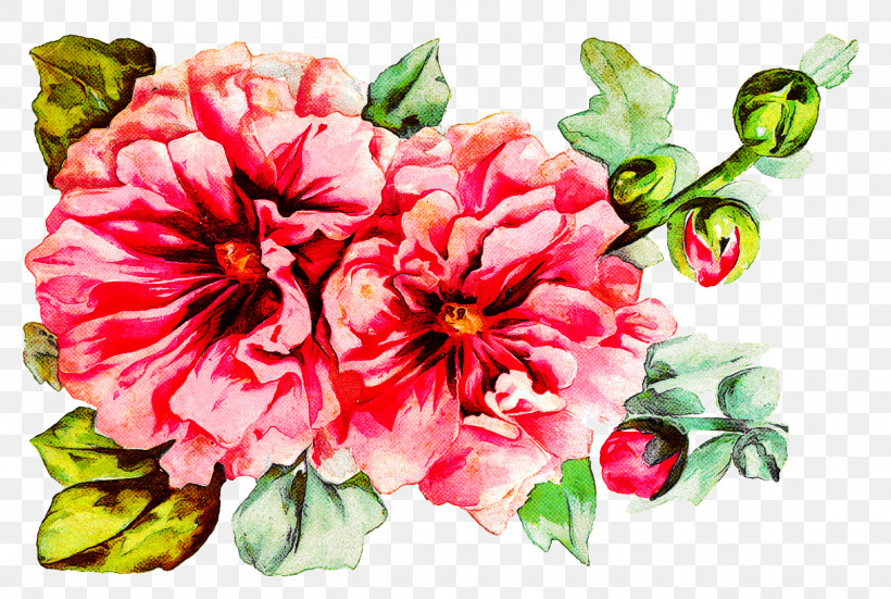 Floral Design, PNG, 1600x1077px, Flower, Carnation, Floral Design, Peony, Petal Download Free