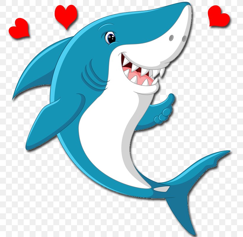 Shark Royalty-free Vector Graphics Stock Illustration Cartoon, PNG,  800x800px, Shark, Animal Figure, Animated Cartoon, Art,