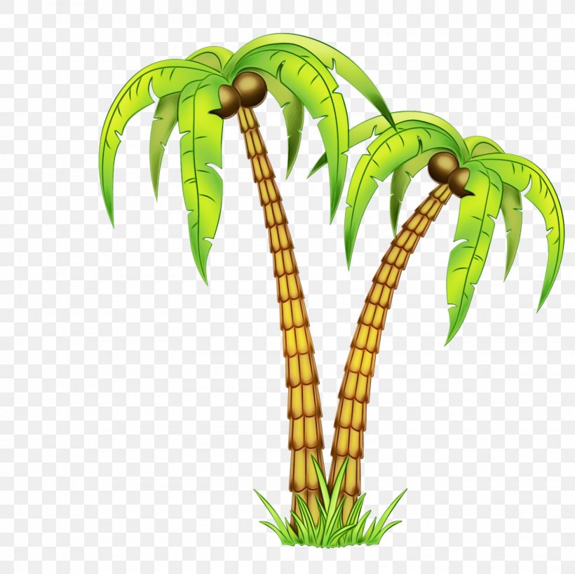 Coconut Palm Trees Flowerpot Plant Stem Peavey Electronics, PNG, 1600x1600px, Coconut, Aquarium Decor, Arecales, Botany, Flower Download Free