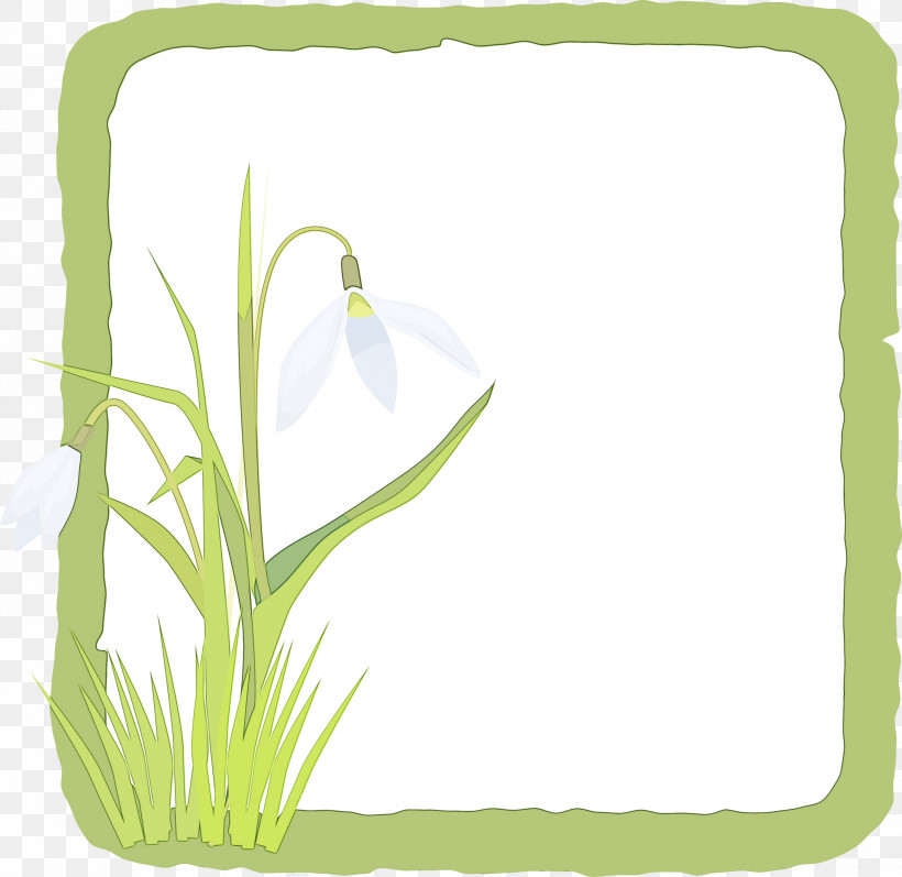 Picture Frame, PNG, 3000x2918px, Flower Frame, Biology, Flower, Grasses, Leaf Download Free