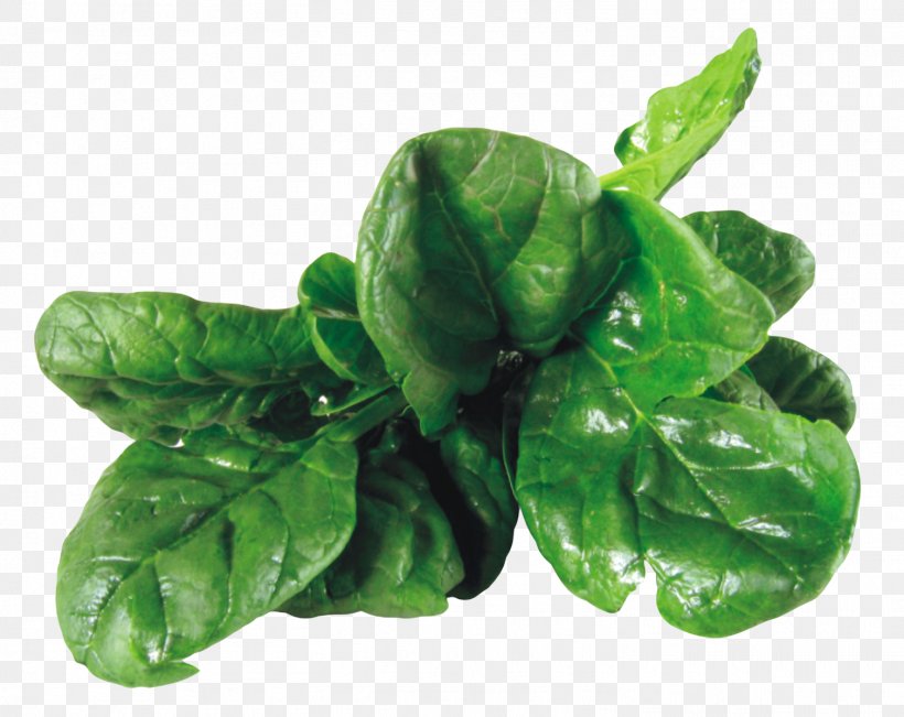 Vegetarian Cuisine Spinach Salad Leaf Vegetable, PNG, 1509x1199px, Vegetarian Cuisine, Basil, Chard, Choy Sum, Endive Download Free
