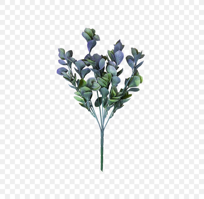 Cut Flowers Artificial Flower Flowerpot Plant Stem, PNG, 800x800px, Cut Flowers, Artificial Flower, Blue, Borage Family, Branch Download Free