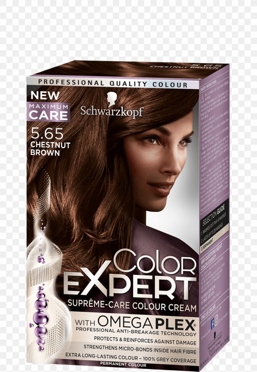 Hair Coloring Human Hair Color Schwarzkopf Garnier, PNG, 970x1400px, Hair Coloring, Blond, Brown Hair, Chestnut, Color Download Free