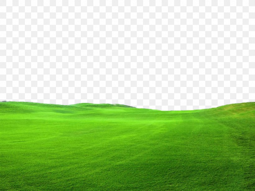 Lawn Green Grassland Sky Wallpaper, PNG, 1024x768px, Lawn, Computer, Family, Field, Grass Download Free
