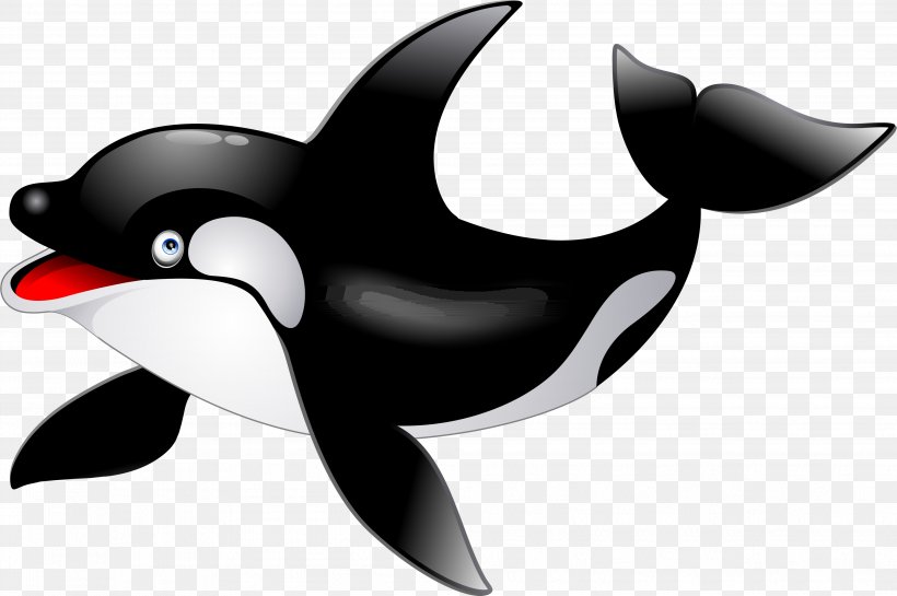 Killer Whale Baby Whale Dolphin Clip Art, PNG, 3969x2638px, Killer Whale, Animation, Baby Whale, Beak, Bird Download Free