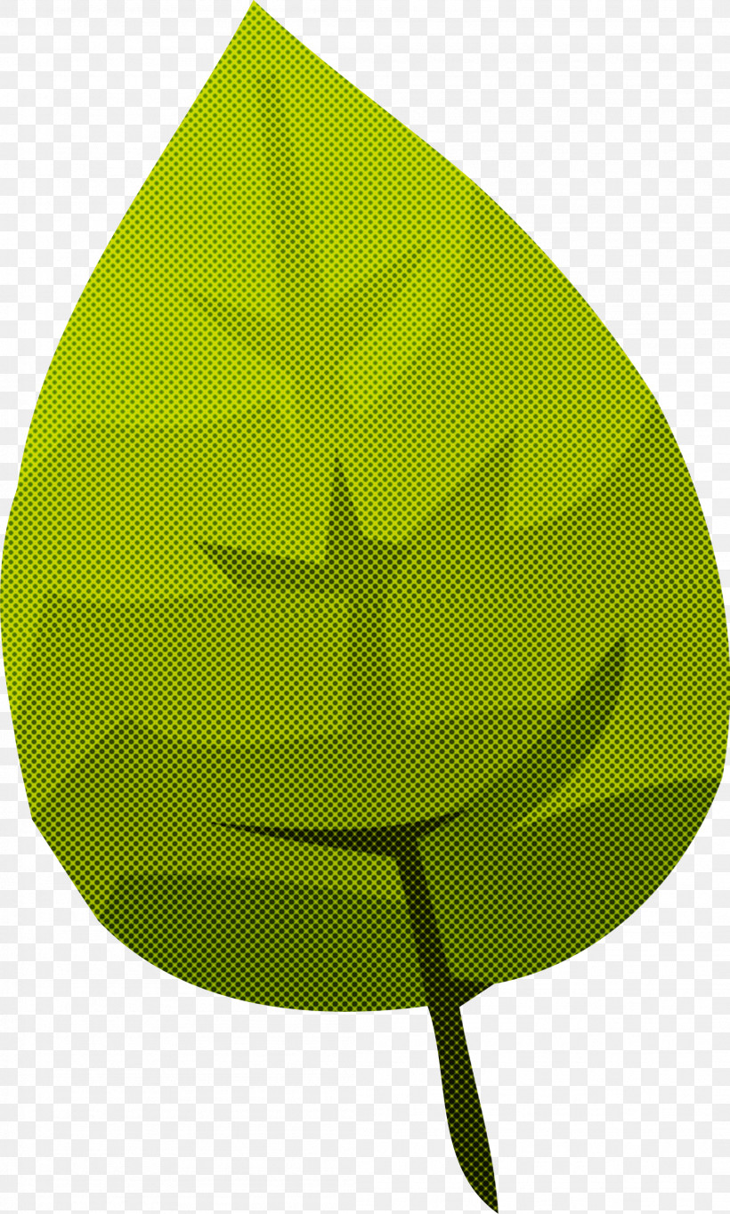 Leaf, PNG, 2104x3501px, Leaf, Green, Plant Download Free