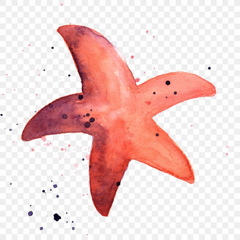 Starfish Marine Invertebrates Watercolor Painting Animal, PNG, 3000x3000px,  Starfish, Animal, Aquatic Animal, Coral Reef, Deep Sea