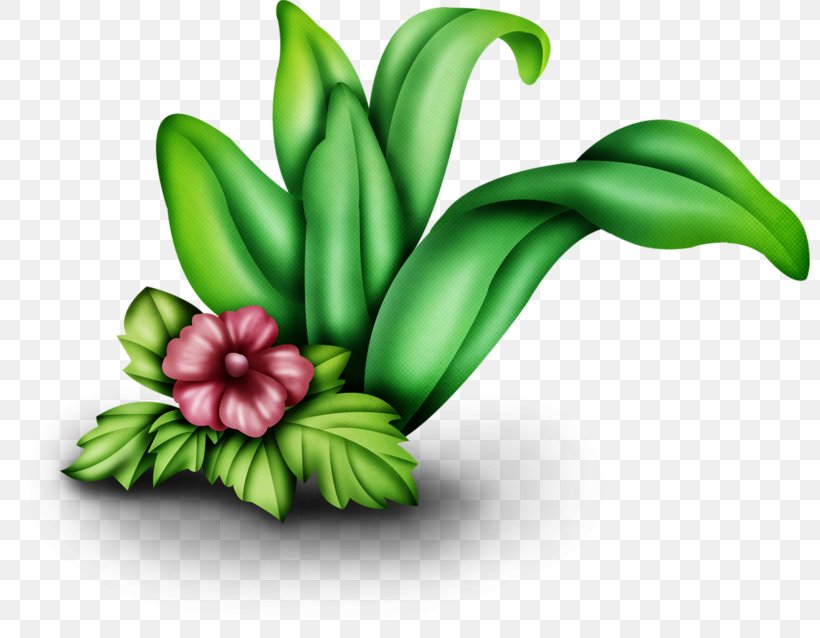 Art Clip Art, PNG, 800x638px, Art, Animation, Cartoon, Drawing, Flower Download Free