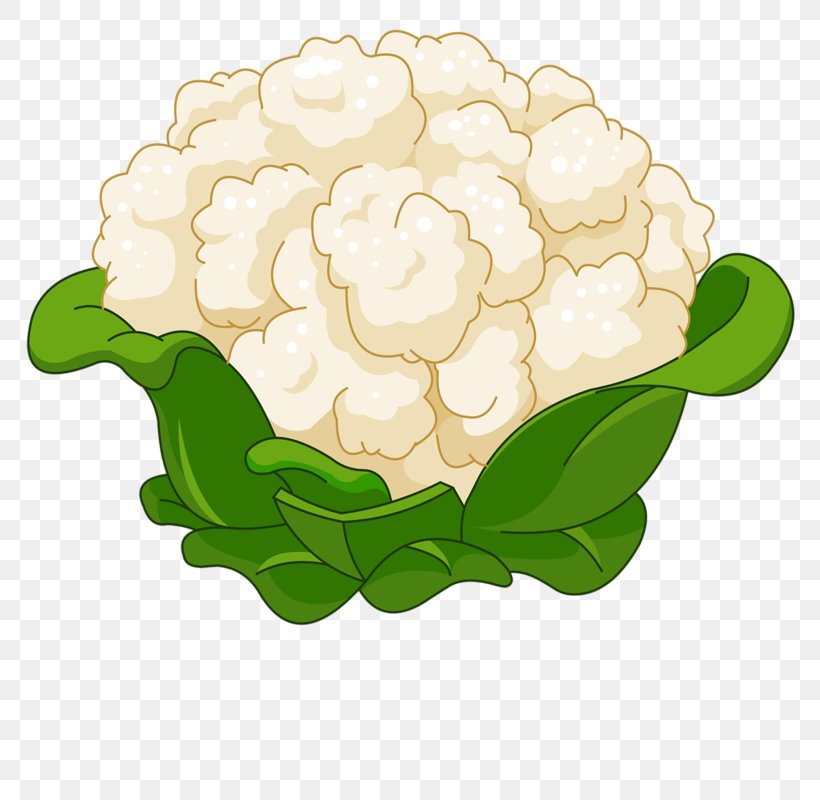 Cauliflower Cartoon Royalty-free Clip Art, PNG, 800x800px, Cauliflower, Cabbage, Can Stock Photo, Cartoon, Chinese Cabbage Download Free