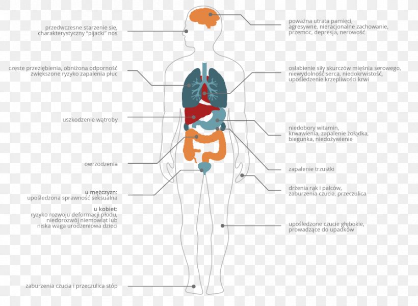 Hip Homo Sapiens Human Behavior, PNG, 896x656px, Watercolor, Cartoon, Flower, Frame, Heart Download Free