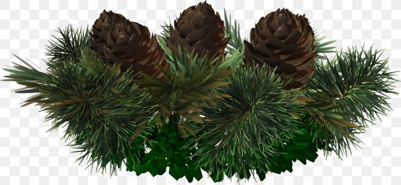 Spruce Pine Christmas Ornament Fir Tree, PNG, 1145x529px, Spruce, Branch, Christmas, Christmas Decoration, Christmas Ornament Download Free