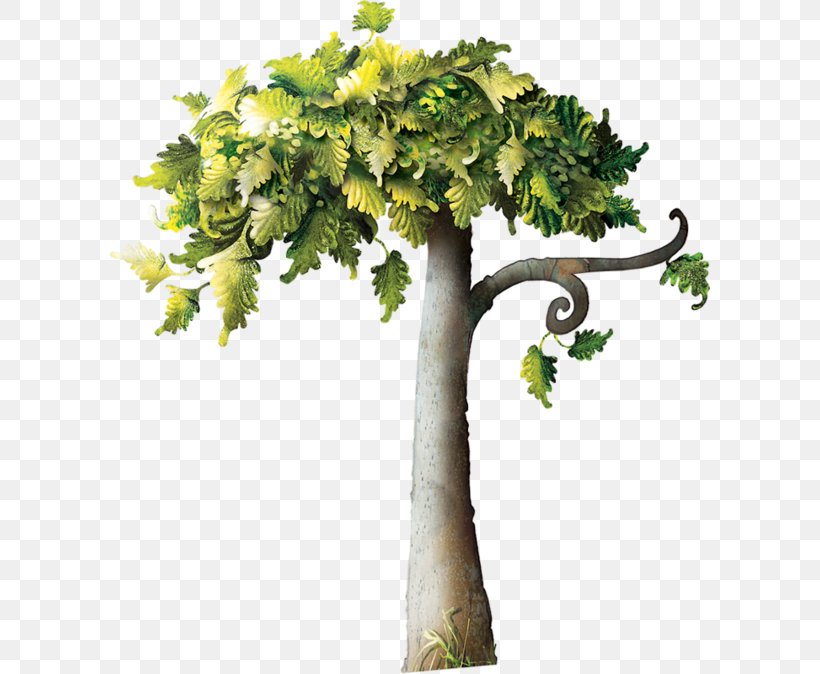 Branch Tree Pine Batwrka, PNG, 600x674px, Branch, Clover, Flower, Flowerpot, Grapevine Family Download Free