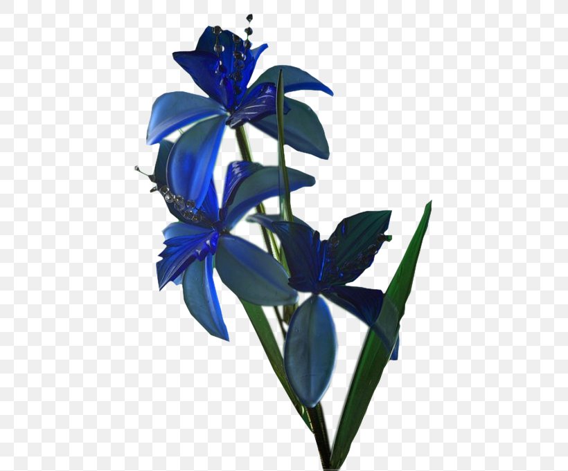 Cut Flowers Chișinău Hypertext Transfer Protocol, PNG, 436x681px, 2018, Flower, Antwoord, Blogger, Blue Download Free