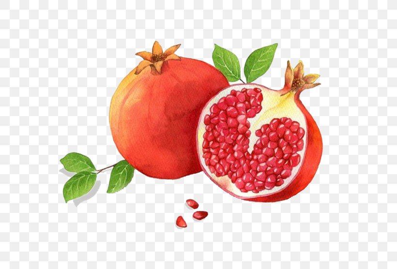 Granada Pomegranate Red Adobe Illustrator, PNG, 658x556px, Granada, Accessory Fruit, Apple, Auglis, Berry Download Free