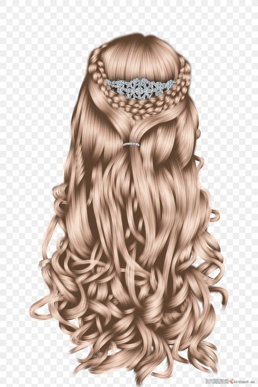 Hairstyle Braid Wig Blond, PNG, 1066x1600px, Hair, Art, Artificial Hair Integrations, Bangs, Black Hair Download Free