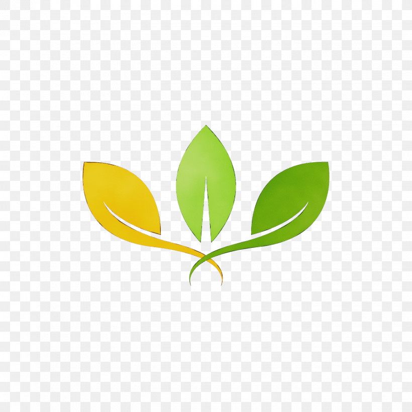 Plant Stem Leaf Logo Font Meter, PNG, 1440x1440px, Watercolor, Biology, Leaf, Logo, M Download Free