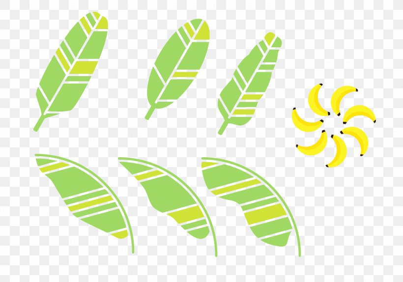 Banana Leaf, PNG, 3000x2100px, Banana Leaf, Banana, Drawing, Feather, Hardy Banana Download Free
