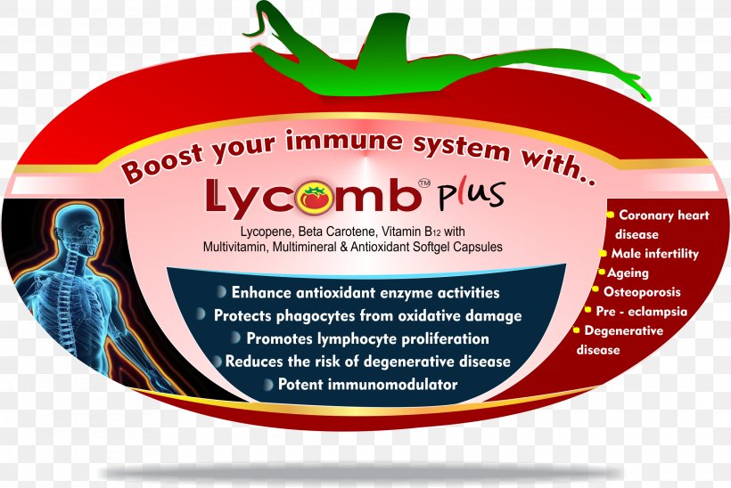Dietary Supplement Lycopene Antioxidant Multivitamin, PNG, 2282x1526px, Dietary Supplement, Antioxidant, B Vitamins, Betacarotene, Brand Download Free