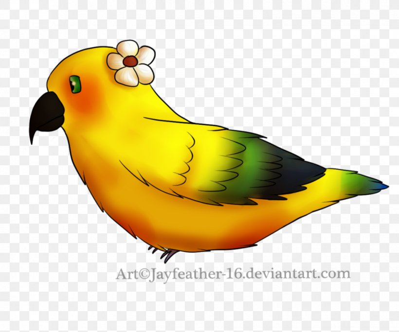 Lovebird Parakeet Feather Beak Pet, PNG, 979x816px, Watercolor, Cartoon, Flower, Frame, Heart Download Free