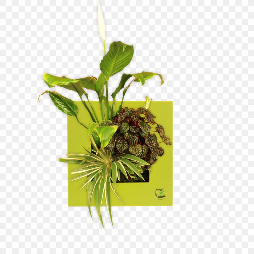 Wish Nature Leaf Nile, PNG, 1000x1000px, Wish, Description, Happiness, Herb, Herbalism Download Free