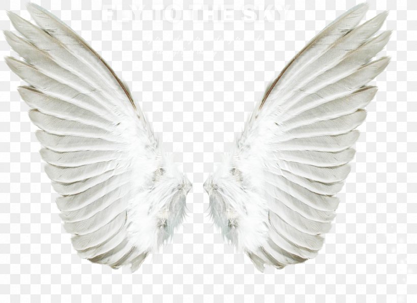 Angel Clip Art, PNG, 2417x1760px, Angel, Feather, Web Browser, White, Wing Download Free