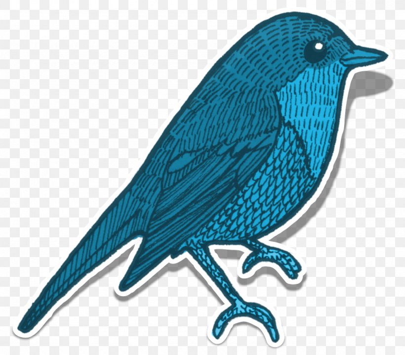 Bird Image Illustration Clip Art Animal, PNG, 1280x1122px, Bird, Animal, Beak, Bird Nest, Bird Of Prey Download Free
