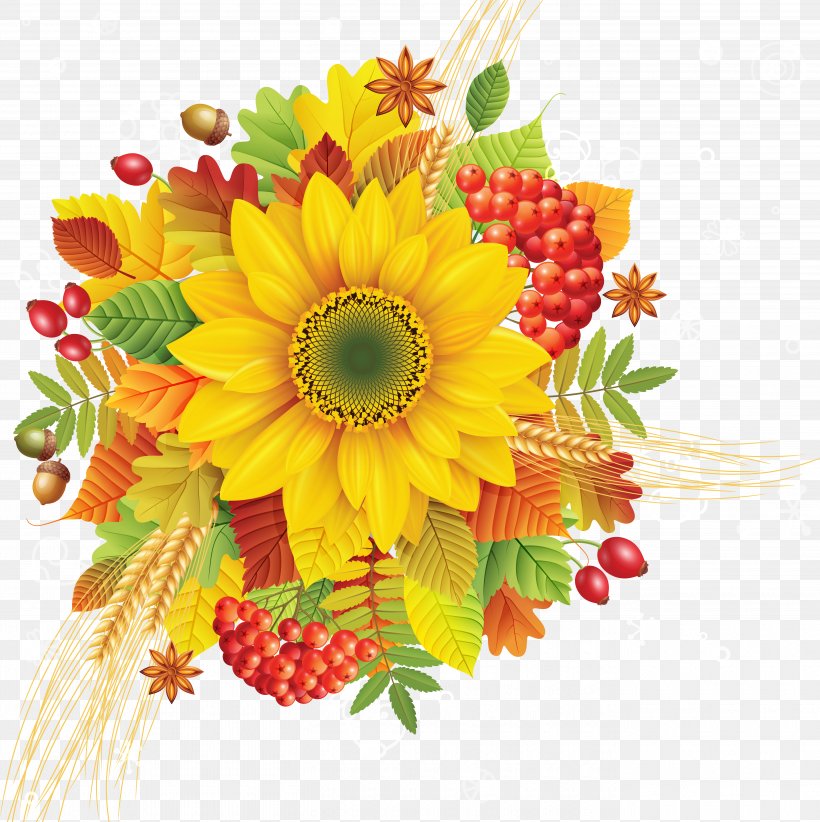 Drawing Clip Art, PNG, 5425x5443px, Drawing, Artificial Flower, Autumn, Chrysanths, Cut Flowers Download Free