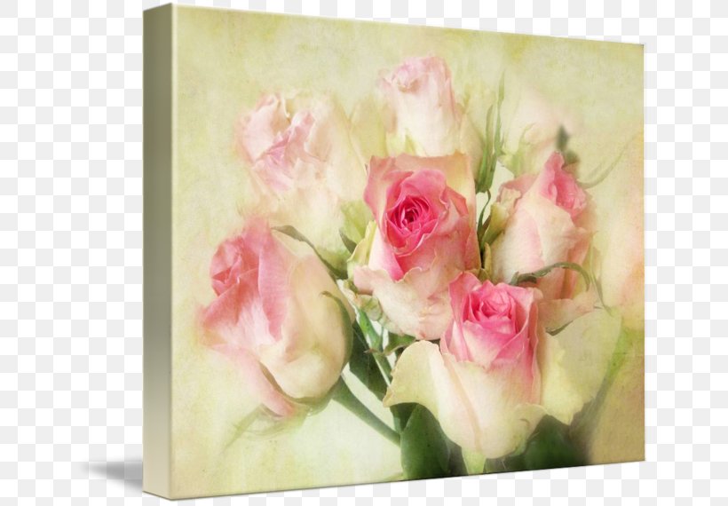Garden Roses Cabbage Rose Pink Floral Design, PNG, 650x570px, Garden Roses, Artificial Flower, Cabbage Rose, Color, Cut Flowers Download Free