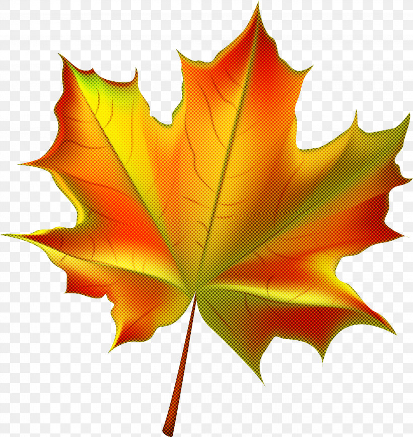 Maple Leaf, PNG, 2835x3000px, Leaf, Black Maple, Deciduous, Maple Leaf, Orange Download Free