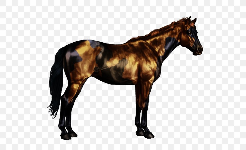 Oldenburg Horse American Paint Horse Roan Bay Black, PNG, 600x500px, Oldenburg Horse, American Paint Horse, Bay, Bit, Black Download Free