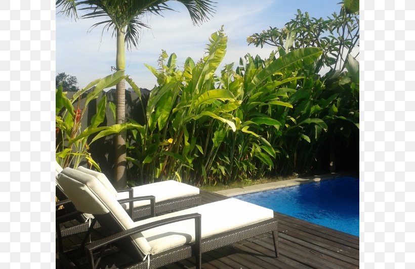 Arecaceae Property Resort Vacation Estate, PNG, 800x533px, Arecaceae, Arecales, Estate, Landscaping, Leisure Download Free