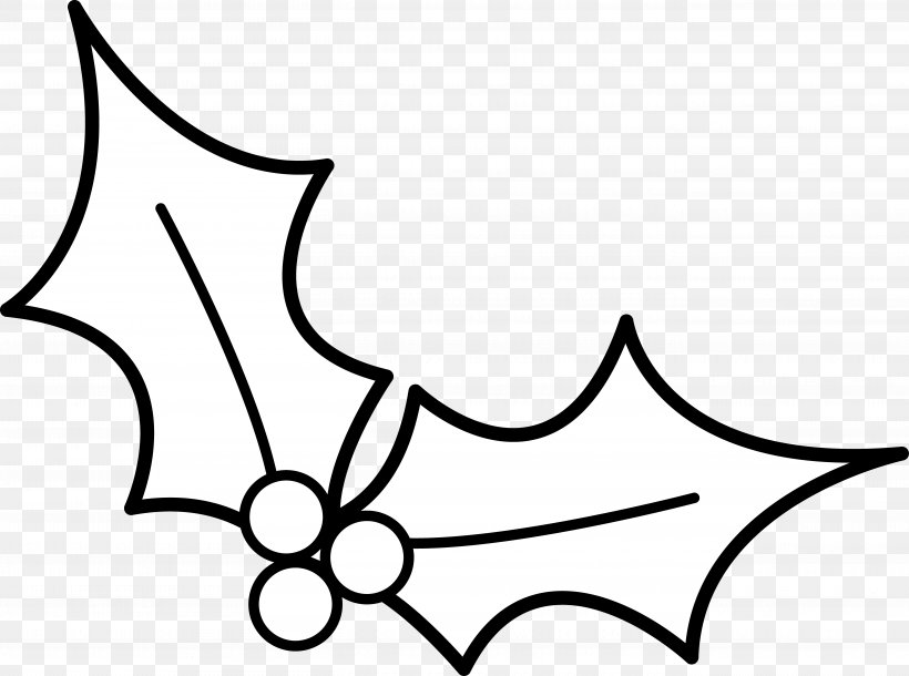 Common Holly Borders And Frames Christmas Clip Art PNG 5432x4046px 