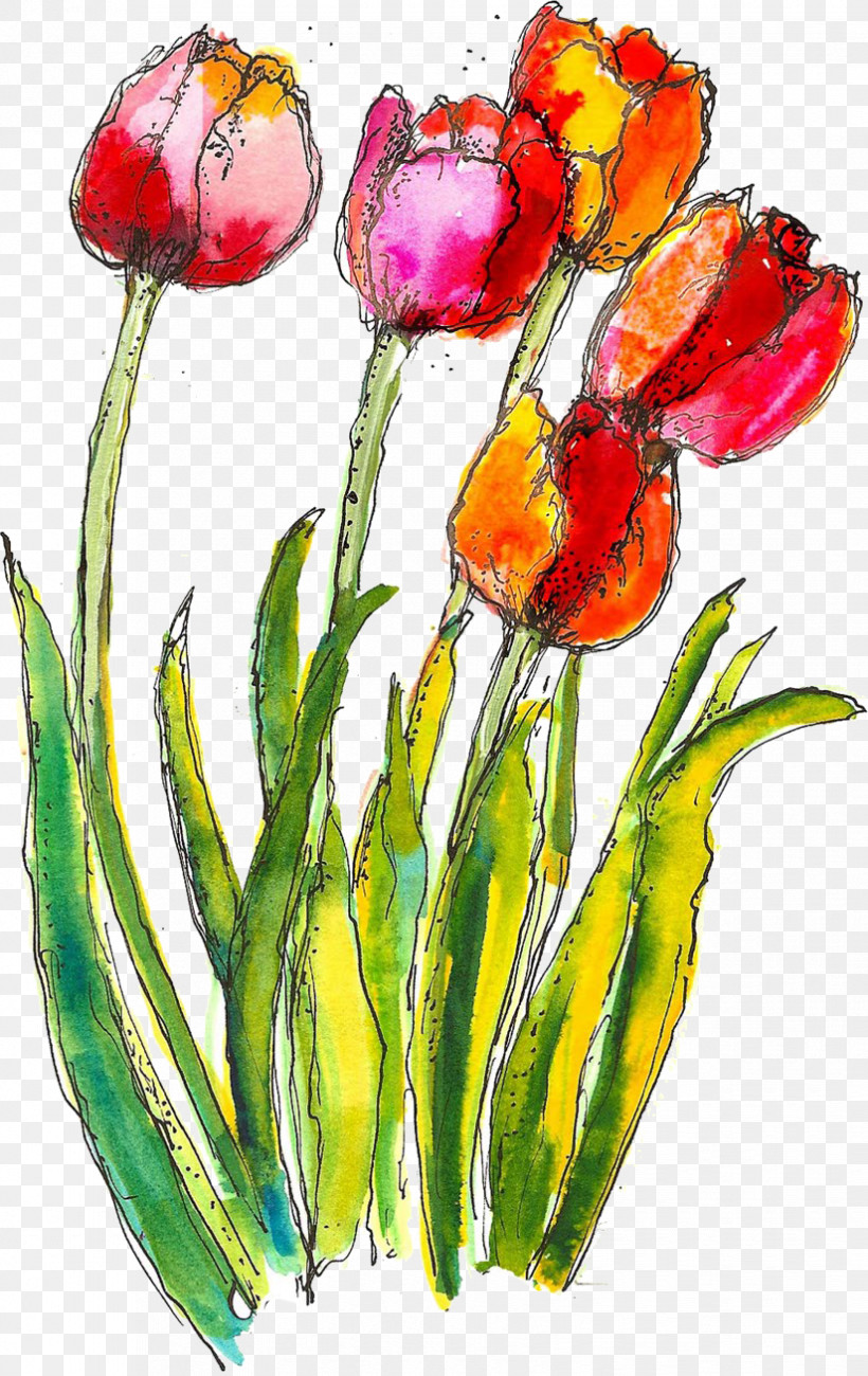 Flower Tulip Watercolor Paint Plant Petal, PNG, 825x1308px, Flower, Bud, Cut Flowers, Lily Family, Paint Download Free