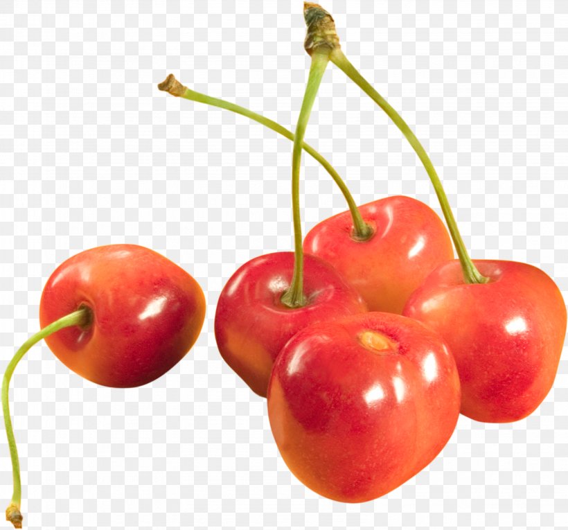 Sweet Cherry, PNG, 3166x2955px, Cherry, Acerola, Acerola Family, Cerasus, Cherry Ice Cream Download Free