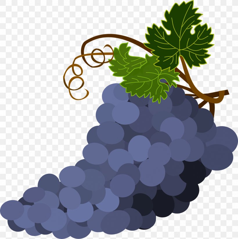 Wine Common Grape Vine Grape Leaves, PNG, 1272x1280px, Wine, Common Grape Vine, Flowering Plant, Food, Fruit Download Free