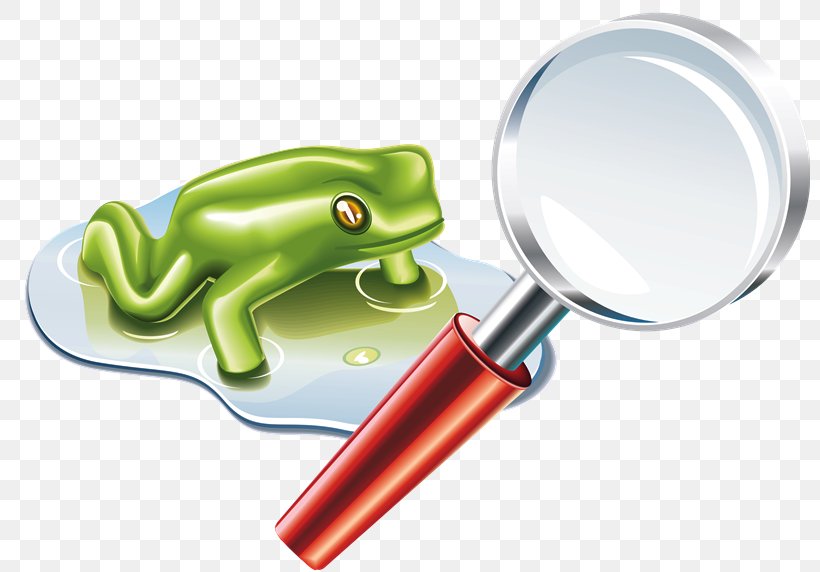 Magnifying Glass Computer Graphics, PNG, 800x572px, 3d Computer Graphics, Magnifying Glass, Amphibian, Computer Graphics, Computer Network Download Free