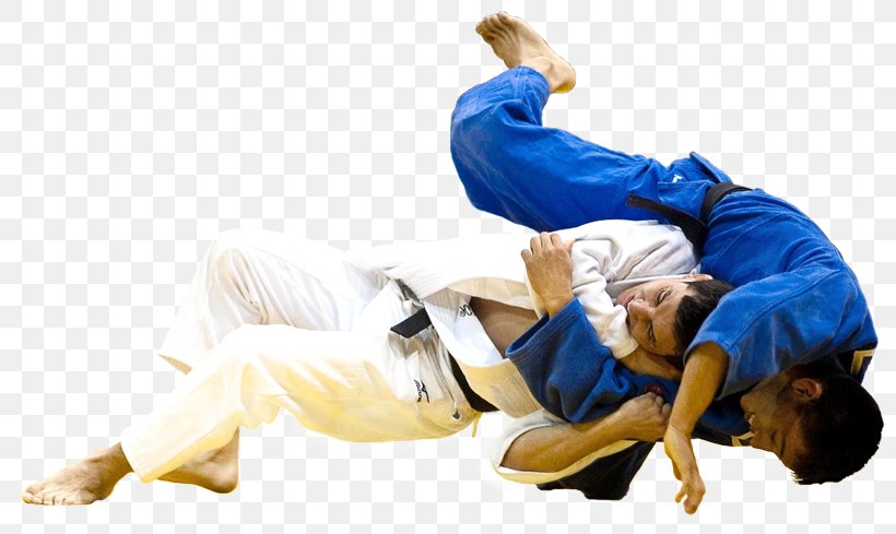 Judo In Brazil Sambo Grappling Martial Arts, PNG, 800x489px, Judo, Aggression, Arm, Combat, Combat Sport Download Free