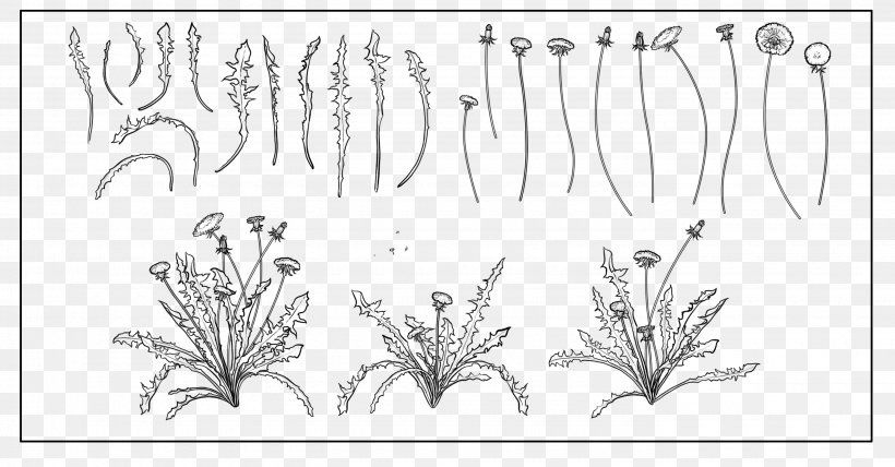 Common Dandelion Poster Plant, PNG, 2760x1442px, Common Dandelion, Art, Black, Black And White, Branch Download Free