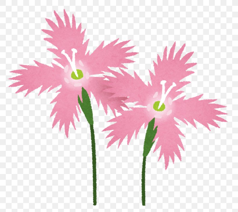 Pink いらすとや Flower Illustration NHK, PNG, 800x731px, Pink, Company, Flora, Floral Design, Flower Download Free